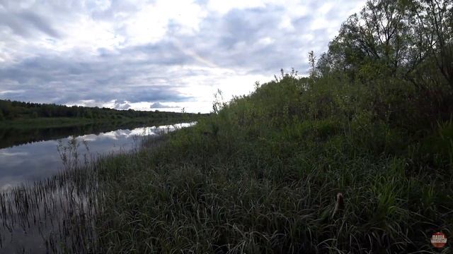 Ловля окуня на отводной поводок|Рыбалка на Западной Двине