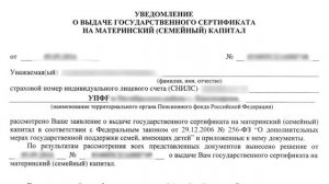 РИСКИ при ПОКУПКЕ квартиры, где ПРОДАВЕЦ ИСПОЛЬЗОВАЛ МАТЕРИНСКИЙ КАПИТАЛ