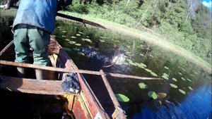 Ловля рыбы на МЕРЁЖКУ | Полная лодка ЗМЕЙ