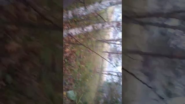 Лось на реву 2018 смотреть онлайн