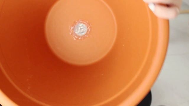 ЦВЕТОЧНЫЙ ВЛОГ: покупки для цветов, пересадка гибискуса смотреть онлайн