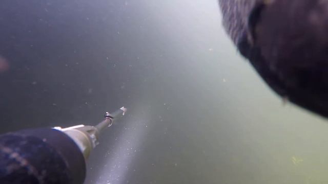 сомяра смотреть онлайн