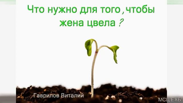 Что нужно для того, чтобы жена цвела В Гаврилов МСЦ ЕХБ 2020 смотреть онлайн