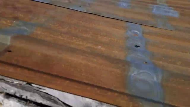 загул после окота?