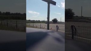 экзамен категория д ,площадка