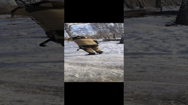 Дружок