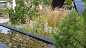 Идеи для наших садов: Фестиваль "САДЫ И ЛЮДИ" 2020.