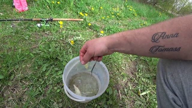 Майская рыбалка или спасение эхолота Deeper PRO + с заплывом на мощной лодке Explorer :) смотреть онлайн