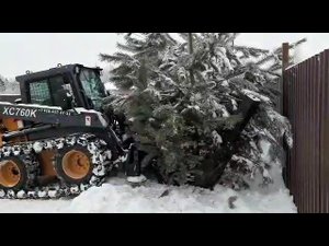 Посадка крупномерных деревьев зимой! Зимняя пересадка деревьев! Профессиональная пересадка деревьев