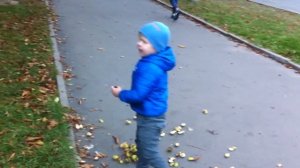 Открываем каштаны