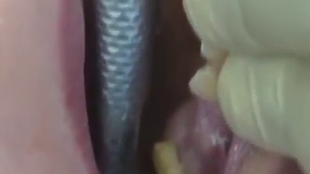 Работа борами МонАлиТ смотреть онлайн