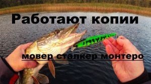 Работают копии. Мовер Сталкер Монтеро.