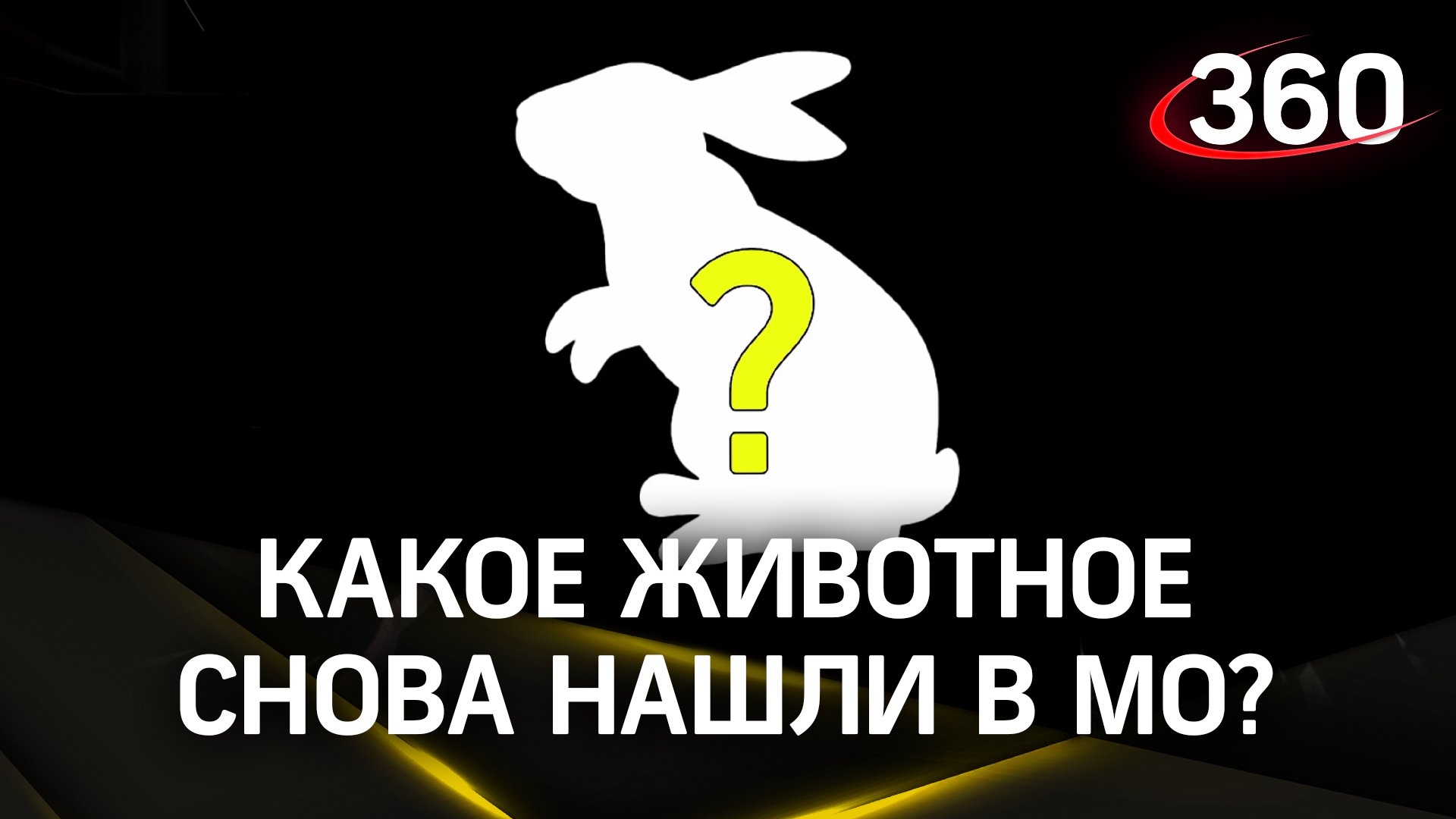 Подмосковного сытого питона оставят в ветклинике