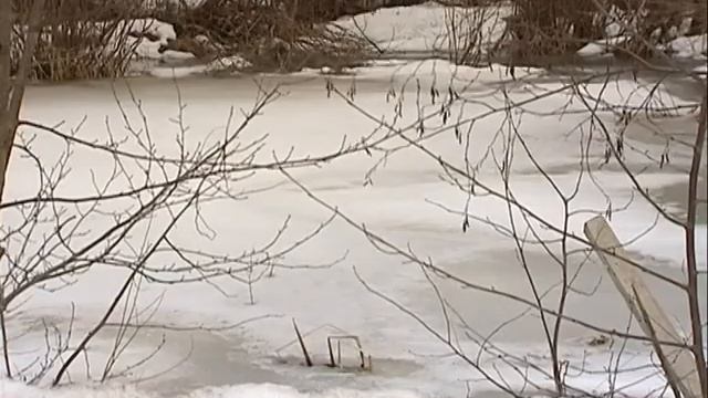 Петушинский район готов к паводку смотреть онлайн