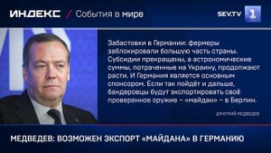 Медведев: возможен экспорт «майдана» в Германию
