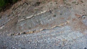 Ольгинка ОК ОРБИТА тур к морю Часть 2