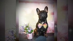 lv_0_20230913152937.mp4