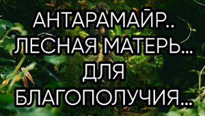 АНТАРАМАЙР...ЛЕСНАЯ МАТЕРЬ…ДЛЯ БЛАГОПОЛУЧИЯ….ДЛЯ ВСЕХ…