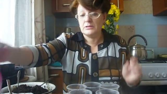 сеем корневой сельдерей смотреть онлайн