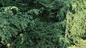 Знакомство с курсом "Люби и знай свой отчий край"