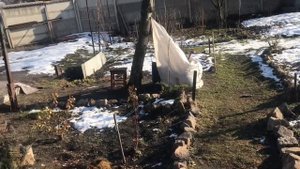 172 Вкусная сочная буженина из индейки ???