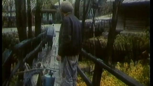 Трам-тарарам или бухты-барахты. Сцена на Карла-Маркса и Сивкова