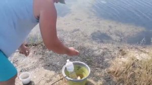 Рыбалка в лиманах Бердянска на пеленгаса  ч1