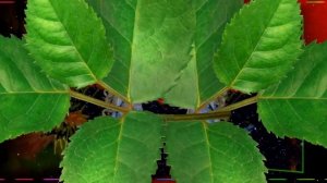 Гр. "СВЕТЛЫЙ СВЕТ"   ГДЕ ТЫ