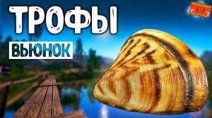 РР4/ рыбалка для души, ловим как универсал, общаемся 20.03.24