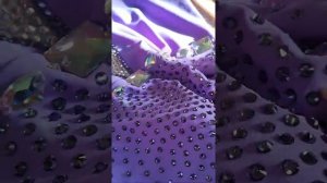 Костюм для фигурного катания или гимнастики