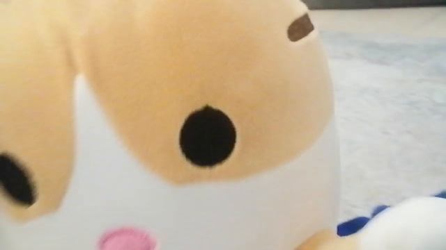 Энтирвью у гусь обнимусь и кот обнимусь