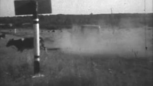 М.Коновалово