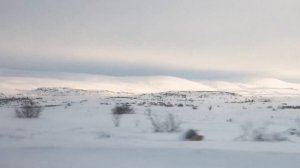 Мурманск. Териберка. Как я ездил за полярный круг