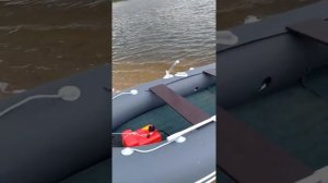 Таймень 360 нднд