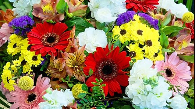 Haapsalu Lillekuller® смотреть онлайн