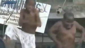 Белые Розы Прикол))))