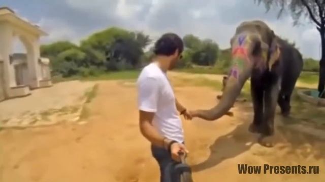 Монопод для селфи (selfie) Kjstar Z07-5 купить. смотреть онлайн