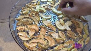 Сушилка (сушка) Zelmer 36Z011 обзор, тест, инструкция