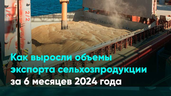 Как выросли объемы экспорта сельхозпродукции за 6 месяцев 2024 года