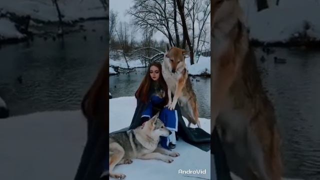 15 глубоких истин от Карлоса Кастанеда