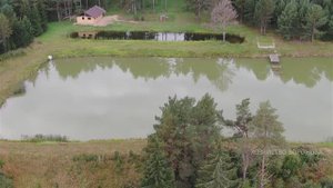 Летаю над большим прудом с рыбой