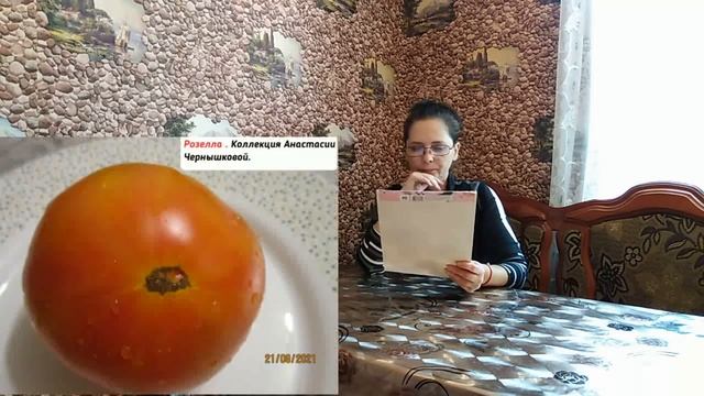 Сорта томатов из моей коллекции.Моё мнение о них.