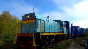 Маневровый ТГМ4-2212 и подъездные пути около ЗАО Муром. г. Муром