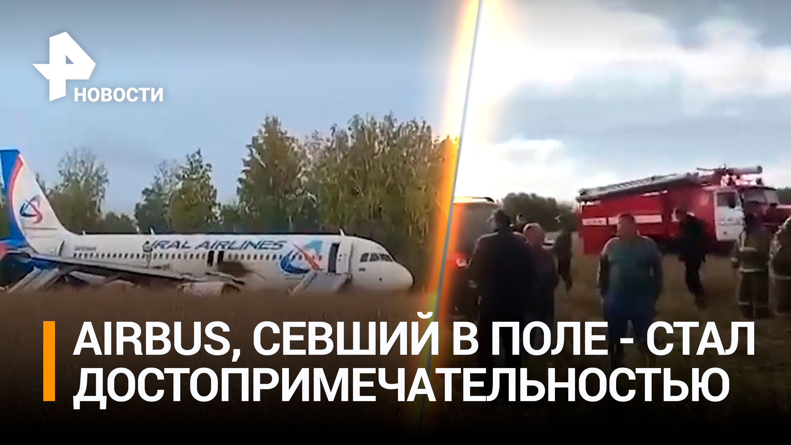 Севший в Новосибирской области Airbus стал достопримечательностью / РЕН Новости