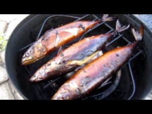 РЫБА ГОРЯЧЕГО КОПЧЕНИЯ В МЕД. БИКСЕ ЗА 15 МИНУТ