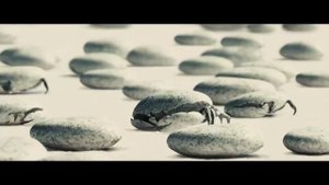 Пираты. Каменные крабы помогают Джеку Воробью.