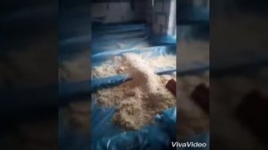 Лайфхак,подача опилок.