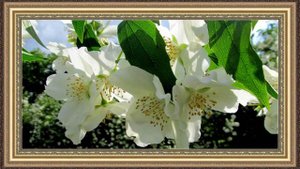 Мой фильм.wlmp.mp4   Красота !!!