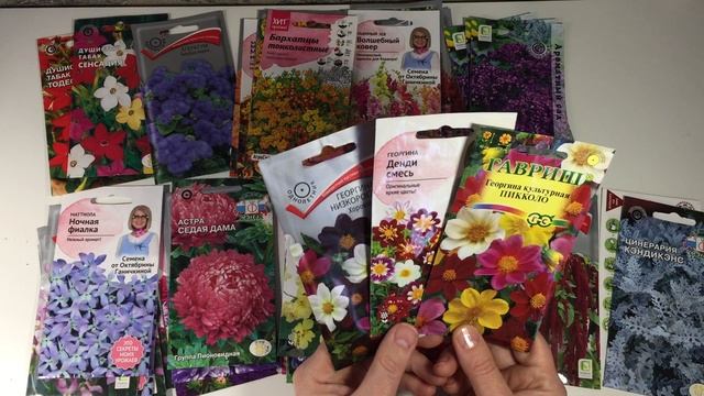 Неприхотливые однолетники , которые будут цвести до заморозков!