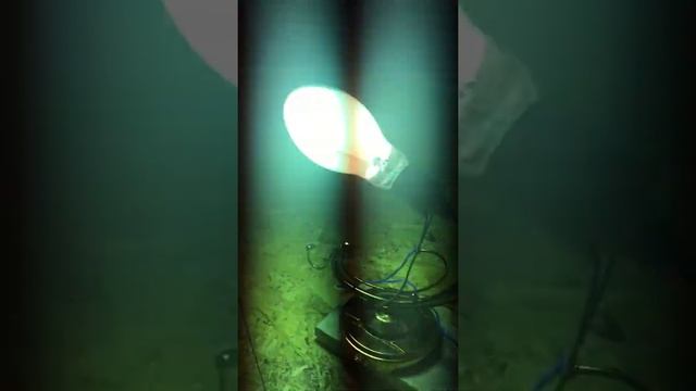 Дрл 125 смотреть онлайн